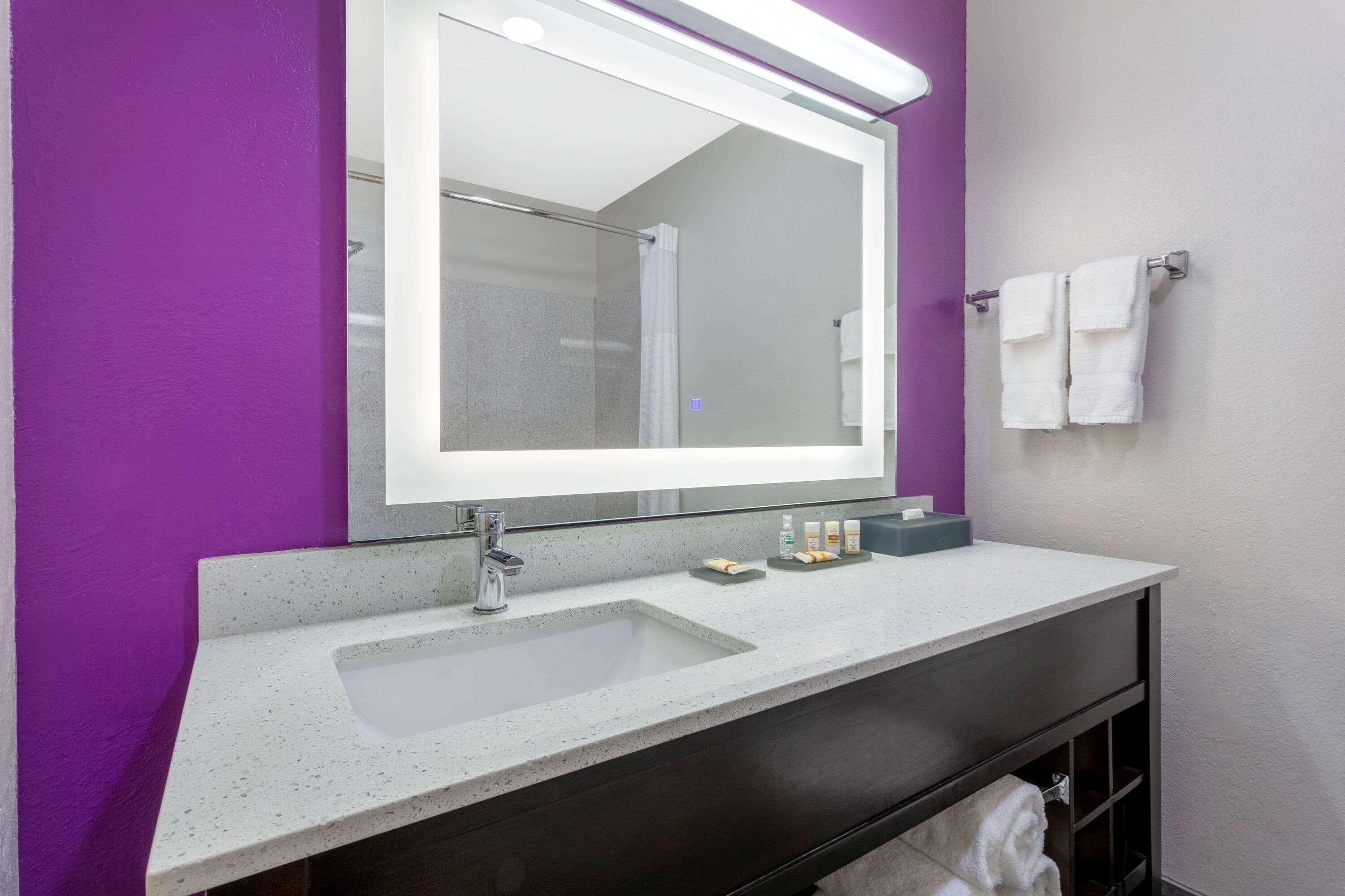 Hotel La Quinta By Wyndham Tampa Bay Area-Tampa South Extérieur photo